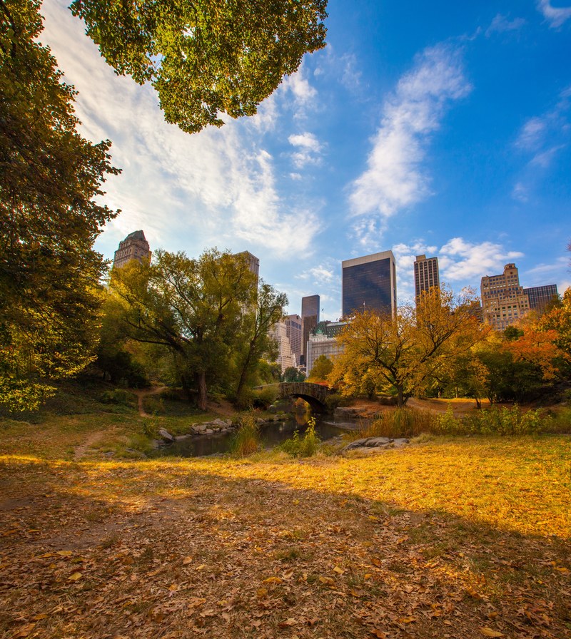 central park in autumn with new york city skyscrapers in the distance, crunchy leaves beneath my feet 4k