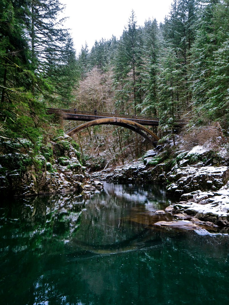 winter in the pnw 4k