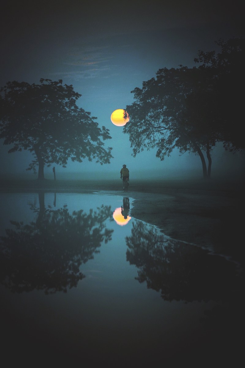 a water reflection picture capturing two bushy trees and a person standing under the moon, _detroit usa 4k