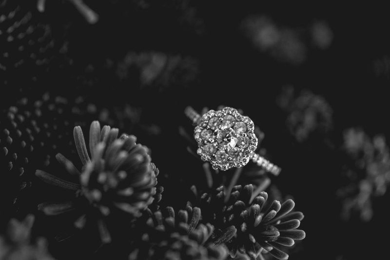 tree marriage married and engaged 4k