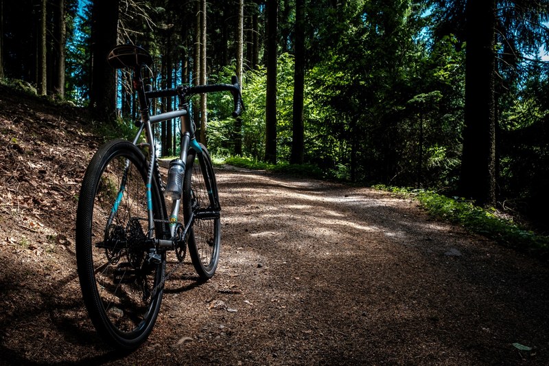 a mountain bike parked on a forest path, niner rlt 9 steel 4k