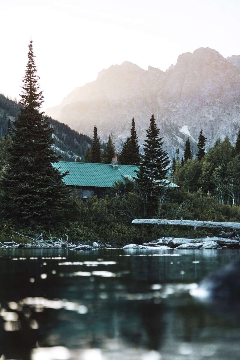 mountain wood forest and cabin hd, 4k