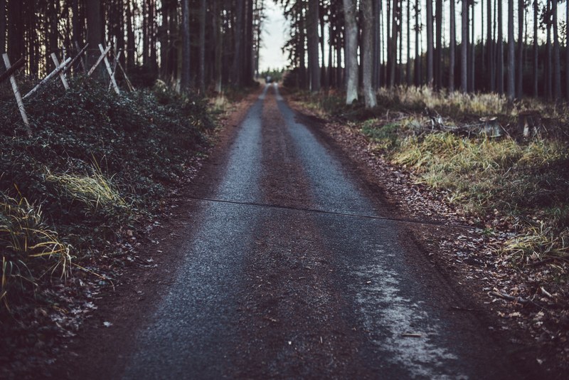 a rural dirt road with a fence and tall trees on its sides, rural dirt road 4k