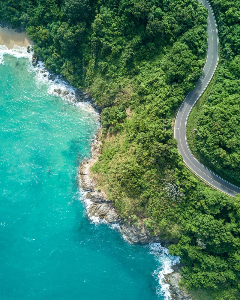 a curved road surrounded by forest land near blue oceanic water, _blue ocean by forest road 4k