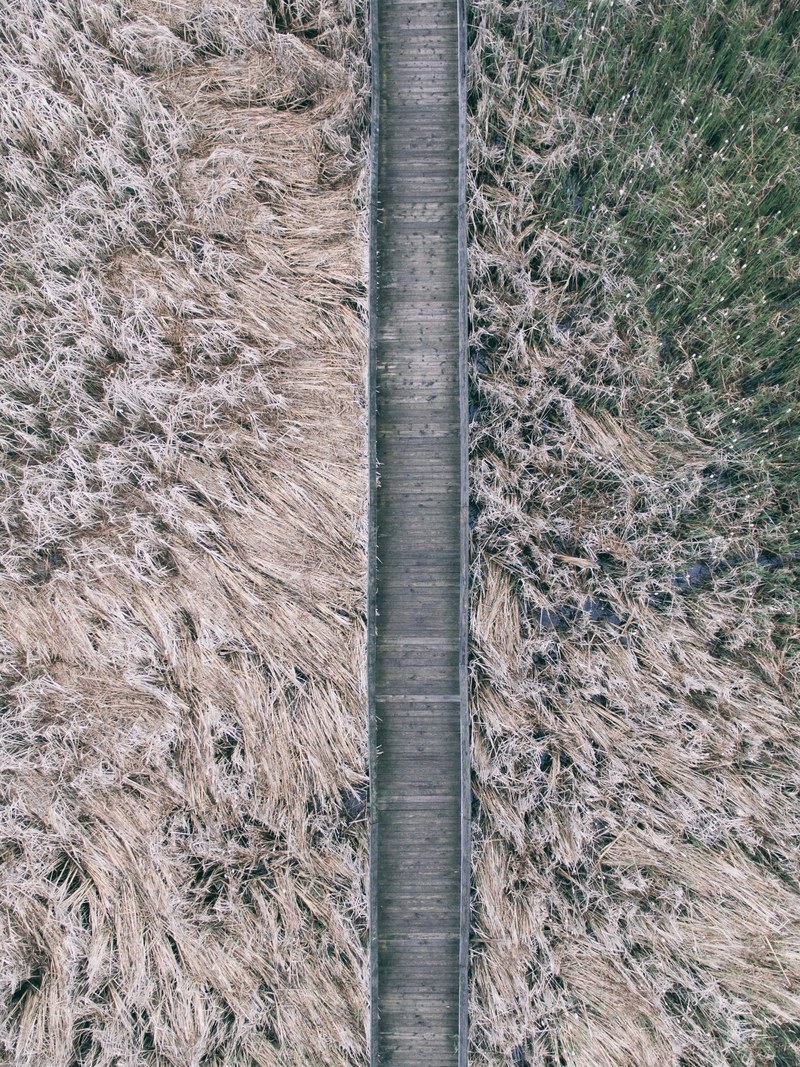 a drone shot of a wooden boardwalk surrounded by tall grass, boardwalk in the grass 4k