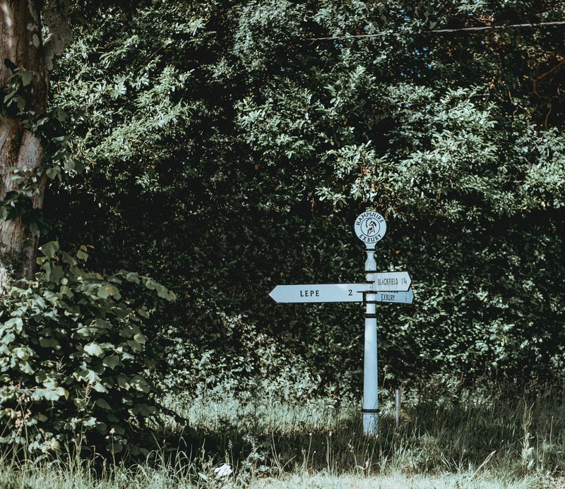 new forest signpost 4k
