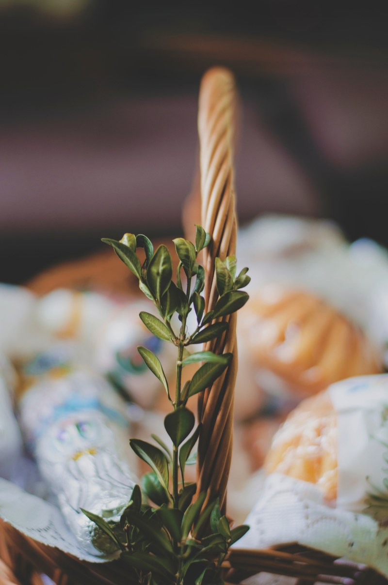 basket boxwood easter and nature hd, 4k