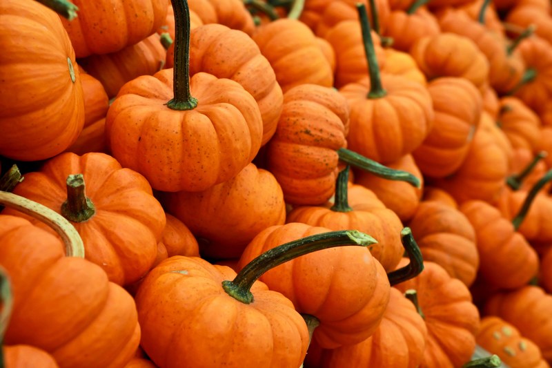 stack of small orange pumpkins and gourds at an autumn market, halloween pumpkins 4k