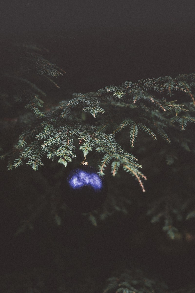 bauble on christmas tree 4k