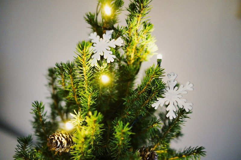 a little tree 4k