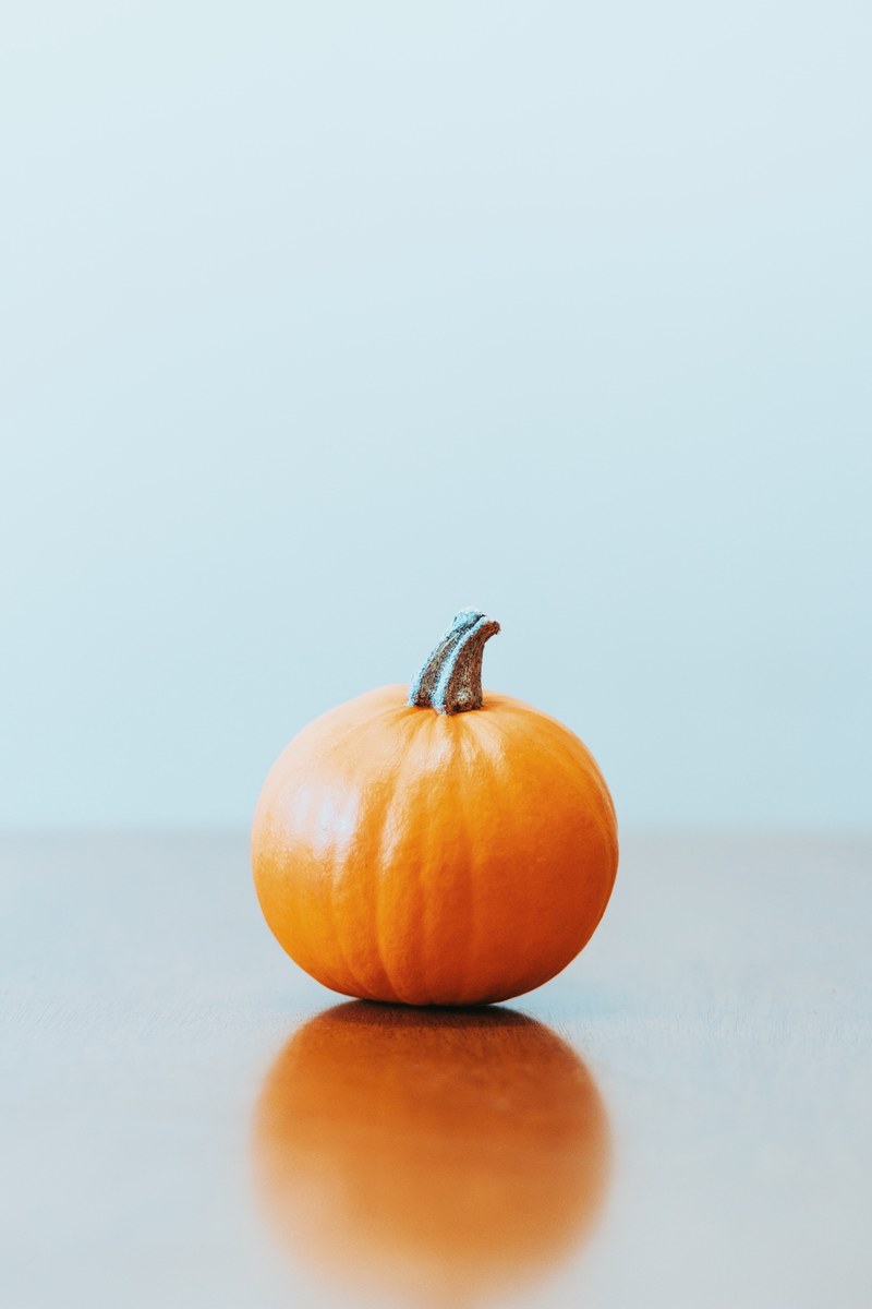pumpkin halloween harvest and vegetable hd, 4k