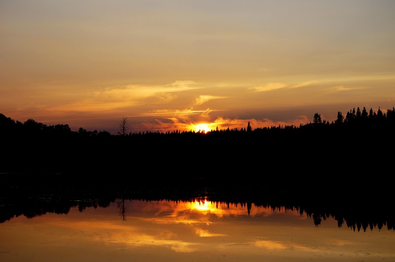 golden sunset in gander bay with forest reflection in the lake, gander bay lake sunset_ 4k