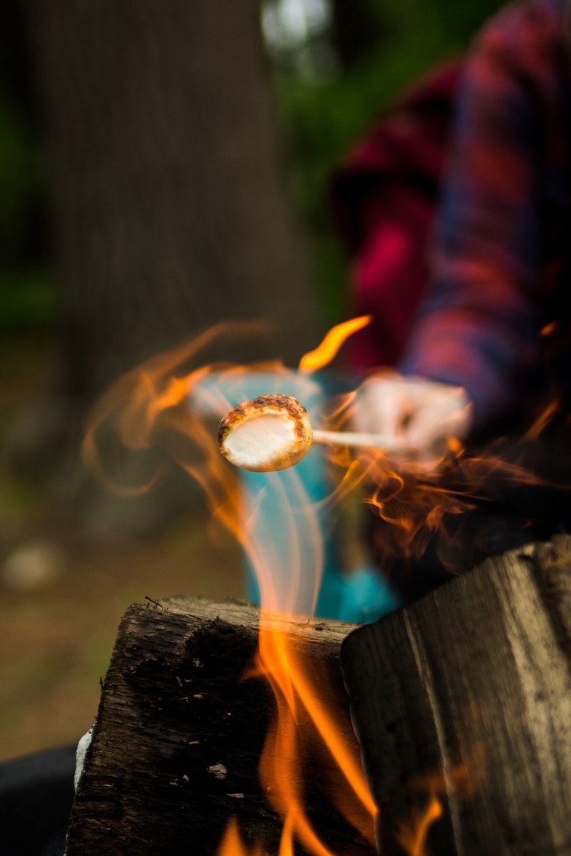 a person in plaid holding a marshmallow out over a fire to roast, toasting marshmallow 4k