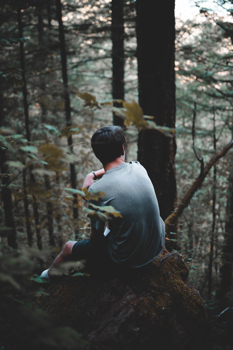 portrait person on cliff forest and cliff hd, 4k