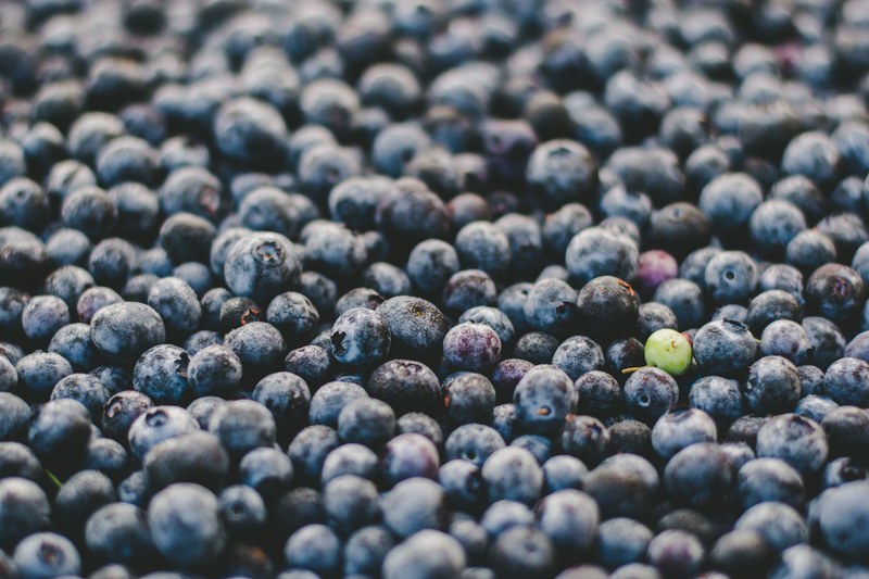 berry blueberry fruit and blue 4k
