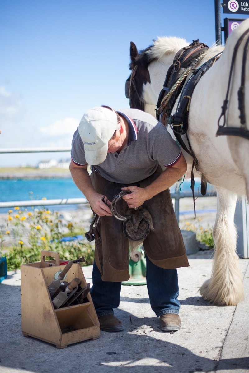 a male farrier is fixing the shoe on a white horse in the aran islands, _man aside a horse 4k
