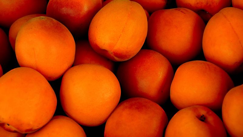 apricots, fruit, ripe, 4k