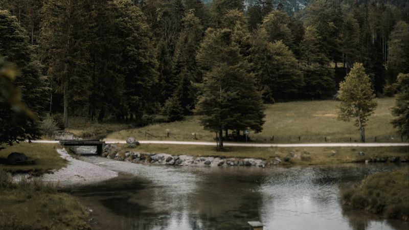 forest, river, mountains, bridge, landscape, 4k
