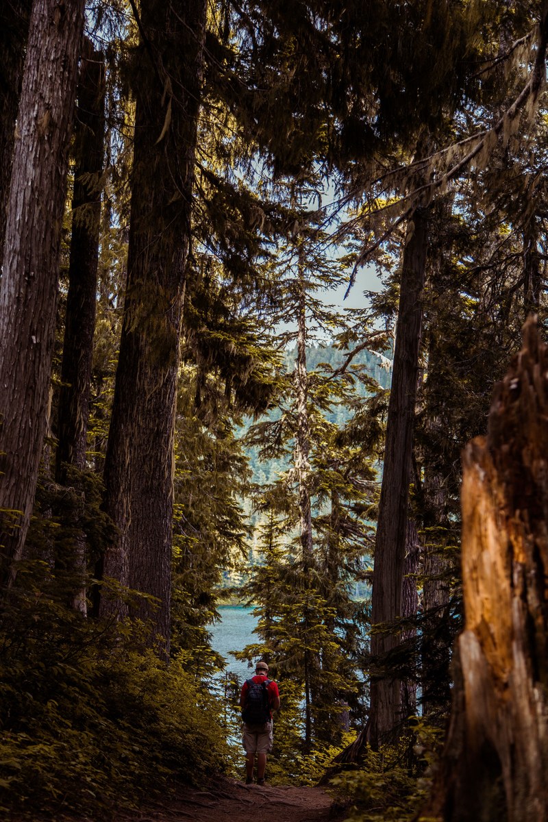 looking to get lost 4k