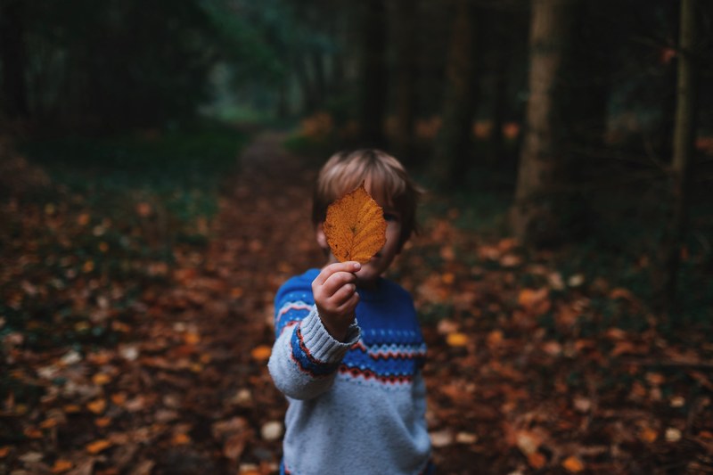 a boy is holding a yellow leaf in front of his face in a forest, _boy in the woods 4k