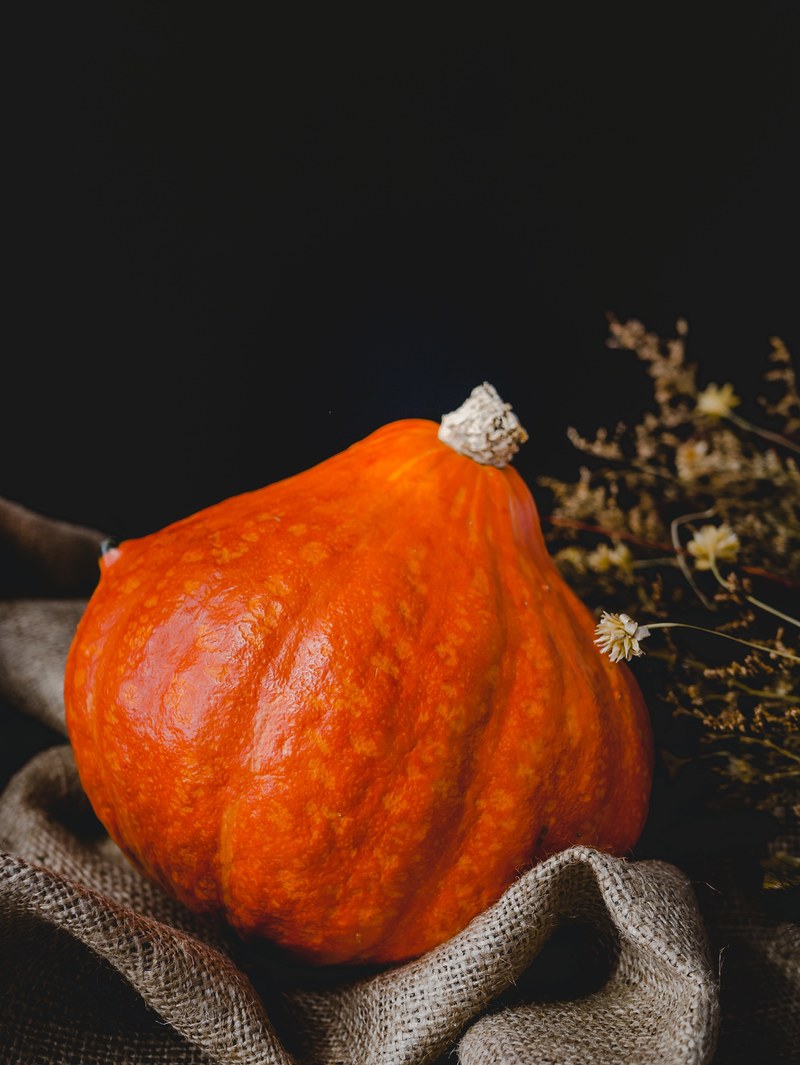 pumpkin gourd fall and orange hd, 4k