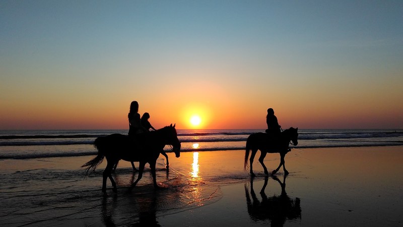 silhouettes of people riding horses through shallow water on a beach during sunset, horse ride on the beach at dusk 4k