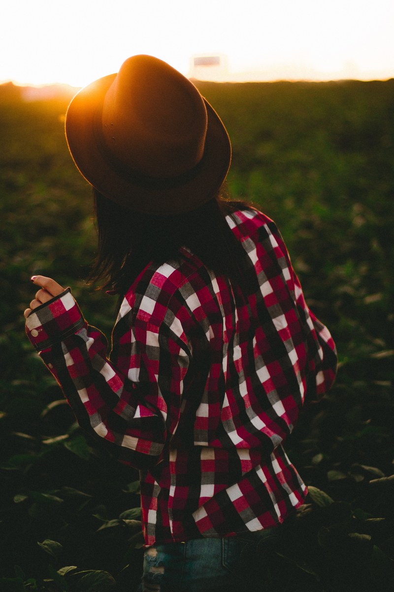 golden golden hour field and photography hd, 4k