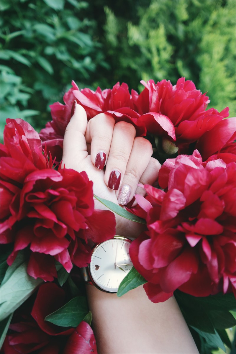 wrist watch round watch new watch and red flower hd, 4k