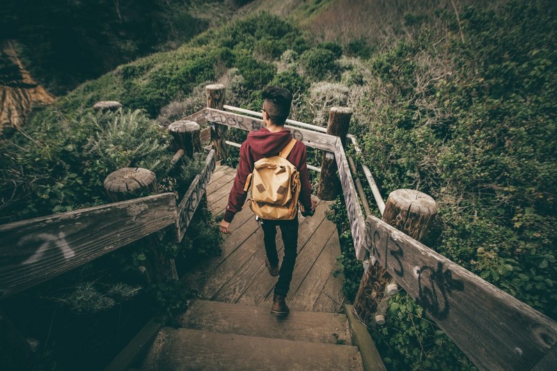 a stylish male backpacker walking down the wooden stairs on a grassy slope, climbing down the wooden stairs 4k