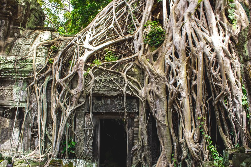 lost temple in the jungle 4k