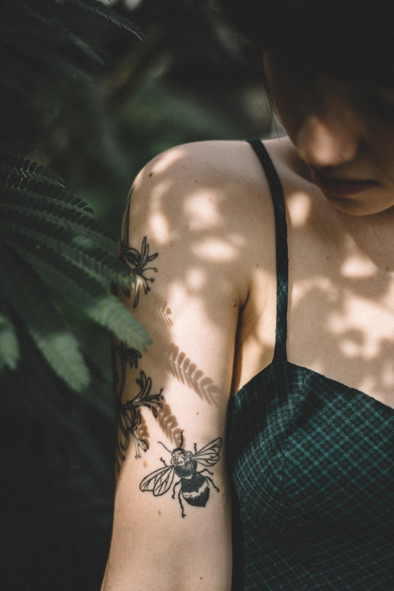 natural shadows 4k