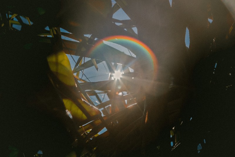 rainbow sunflare shines through blades of grass and plant leaves, the suns rainbow 4k
