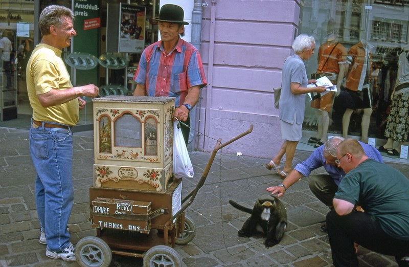 organ grinder in trier 4k