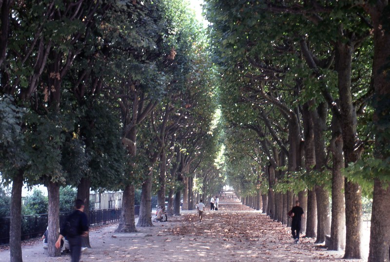 le jardin de luxembourg paris 4k