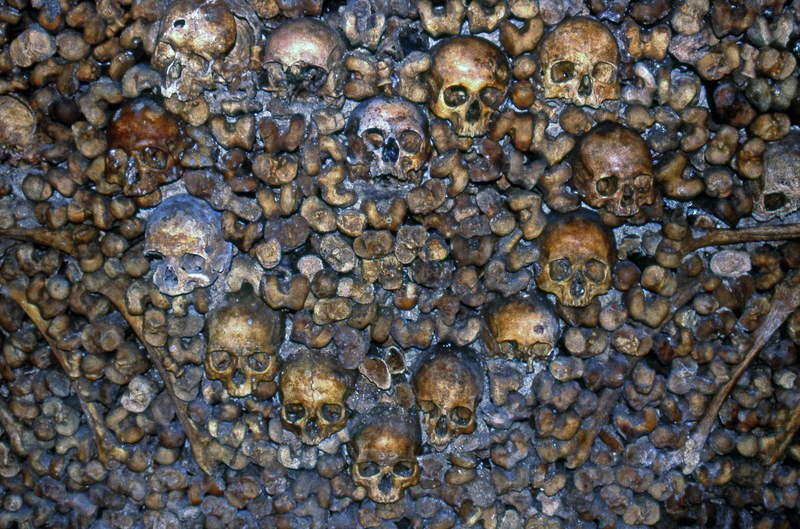 inside the catacombs of paris 4k