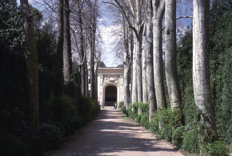 pitti palace garden florence 4k