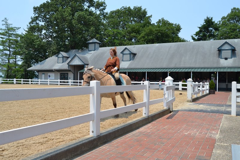 kentucky horse park lexington 4k