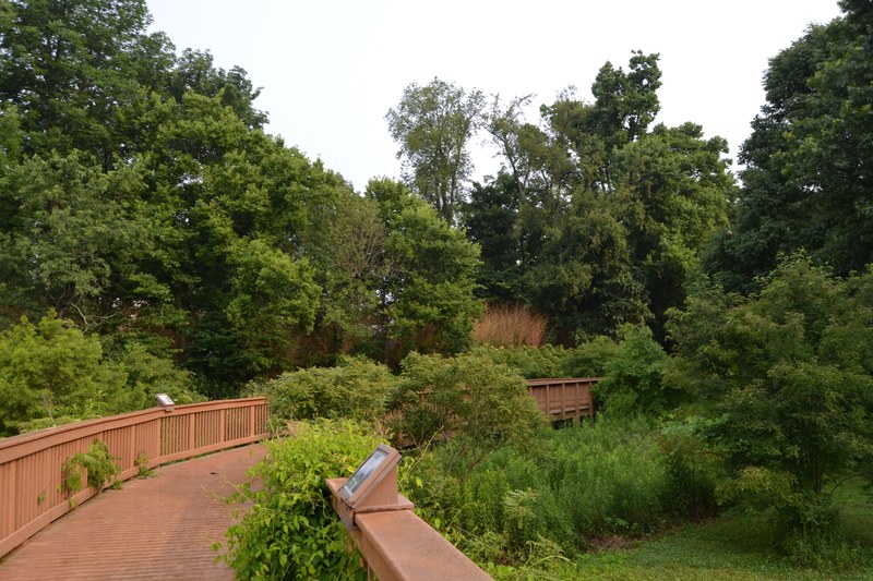 lexington arboretum 4k