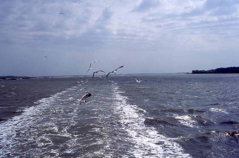 boat ride from hilton head 4k