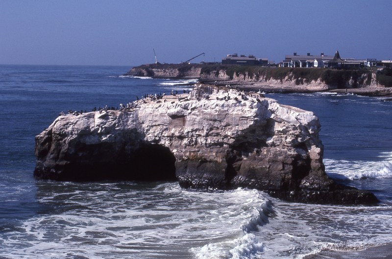 natural bridges state beach santa cruz 4k