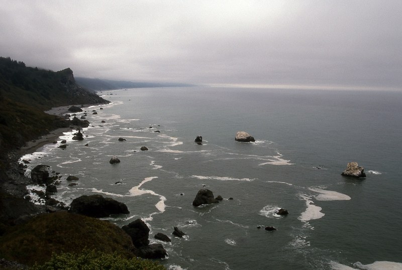 redwood coastal drive 4k