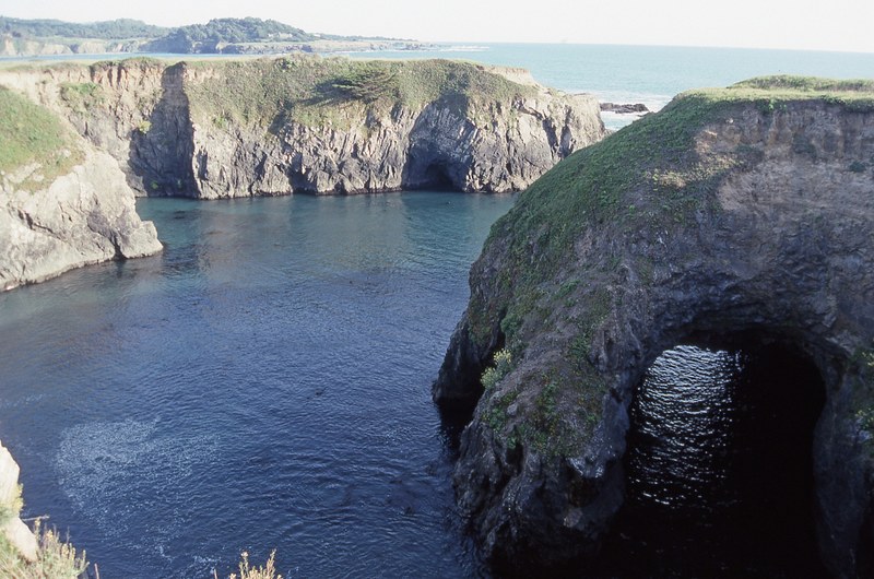 mendocino headlands 4k