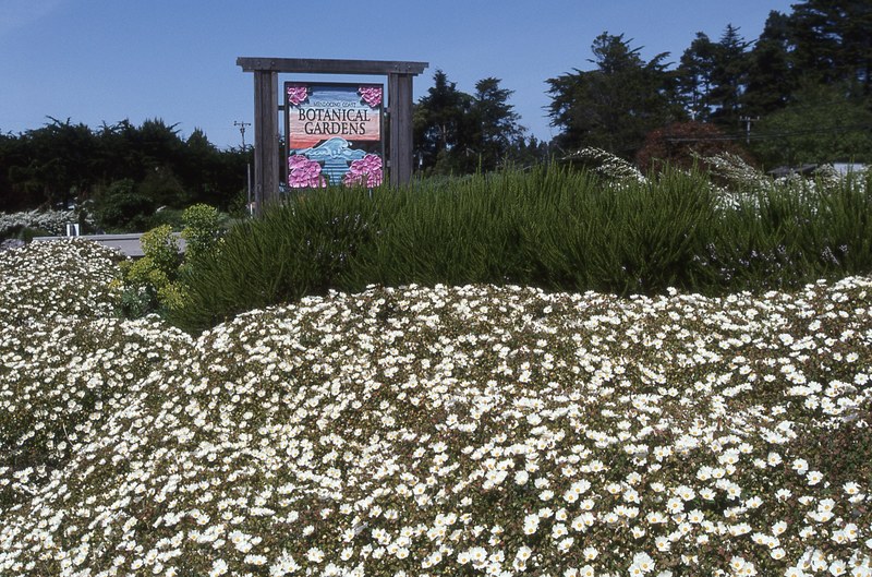 mendocino botanical gardens 4k