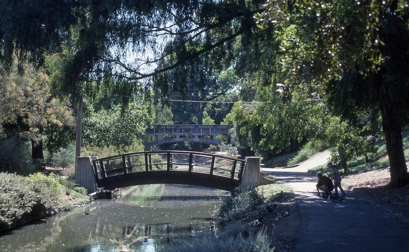 arboretum at uc davis 4k