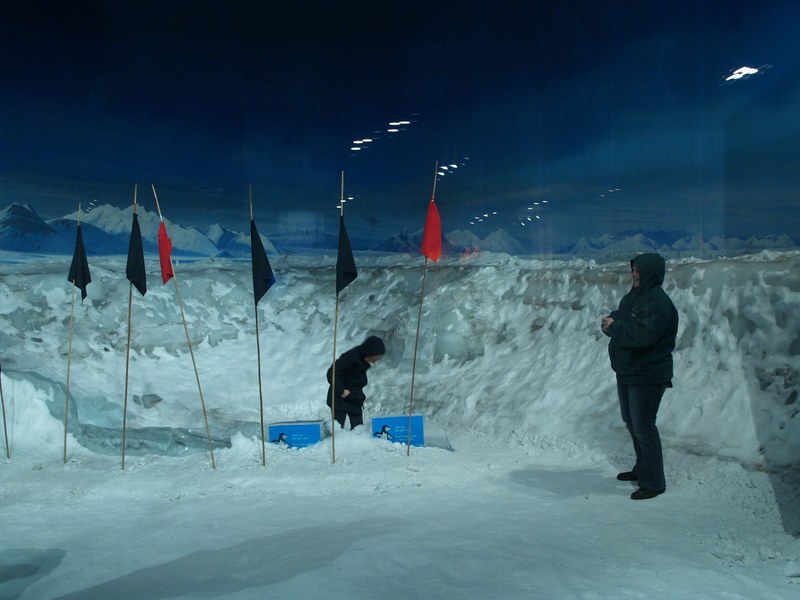 antarctic centre 4k