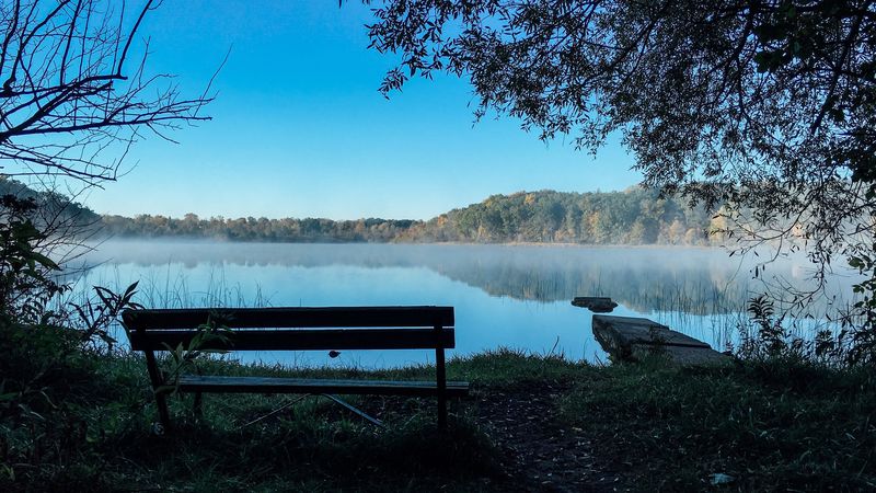 bench, lake, landscape, trees, 4k