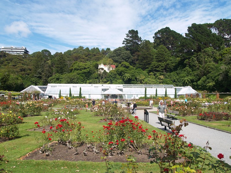 wellington botanic gardens 4k