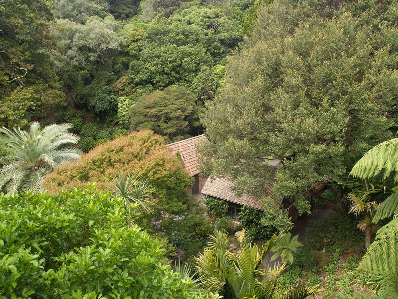 wellington botanic garden 4k
