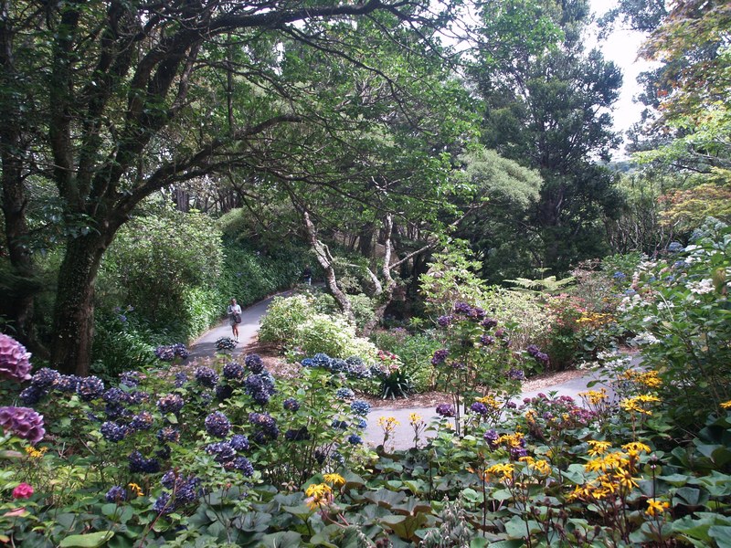 wellington botanic garden 4k