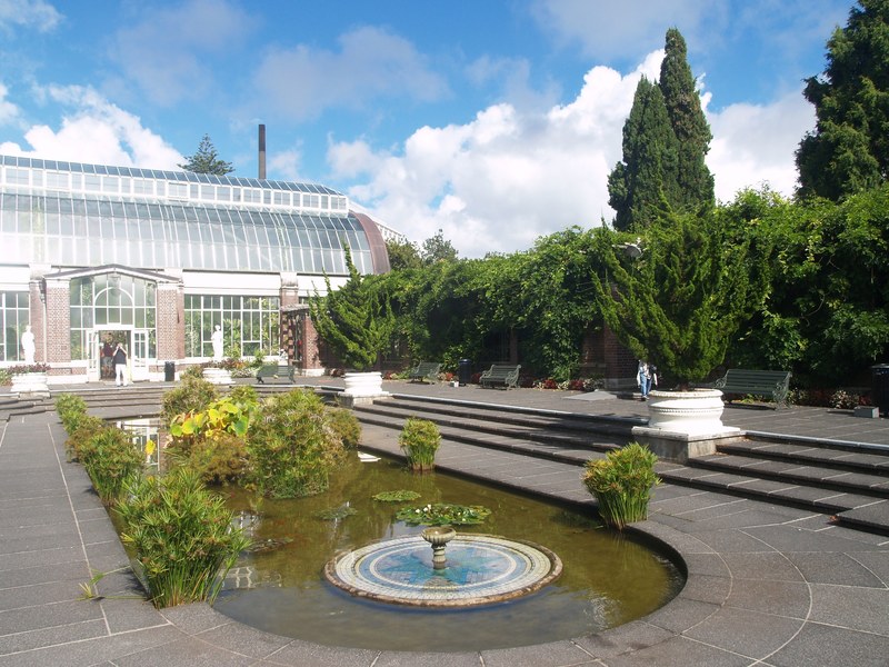 the domain in auckland 4k